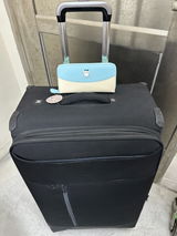 Olevia review photo