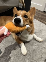 Wedges the Corgi review photo