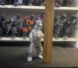 Roman review photo