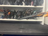 Roman review photo