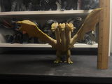 Roman review photo