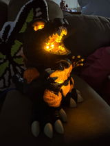KT review photo