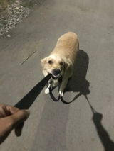 Akash P. review photo