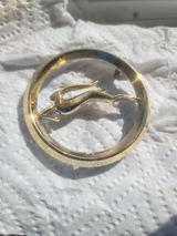 Calvin P review photo