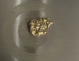 Gary J review photo