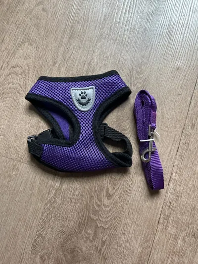 Photo from Ricarda H.