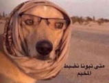 عبدالعزيز الظفيري review photo