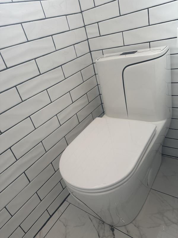 Toilet review photo