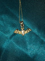 S review photo