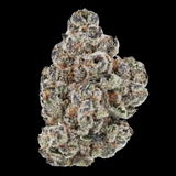 Jackson review photo