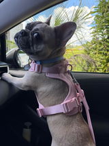 EMY review photo