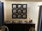 Marilyn Holst review photo