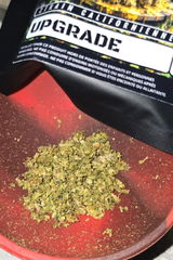 Inc review photo