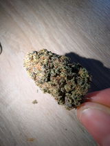 Nico review photo