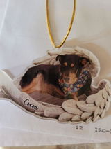 Carlos F. review photo