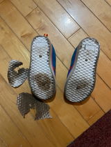 taylor s. review photo