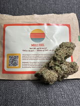 Kevin P. review photo