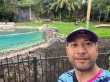 GALUEFA FATIALOFA-FIELD review photo