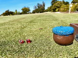 Golf or Die Game Set