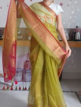 Rose Ring Parakeet (Saree)