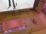 B.N. review photo