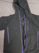 Hollis review photo