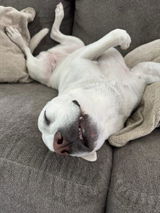Erica W. review photo