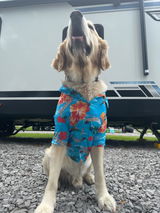 Bailey review photo