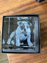 Terry B. review photo