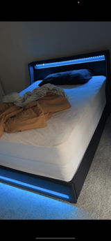 Lapaige polin review photo