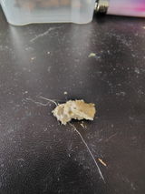Terptrap review photo