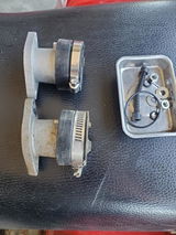 Cora review photo