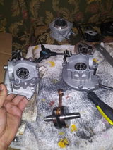 Craig Lepack review photo