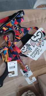 Vibz review photo