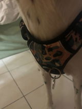 Anonyme review photo