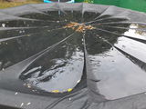 Martin Groulx review photo