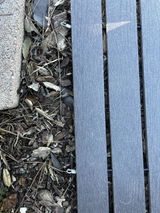 Chih Lou review photo