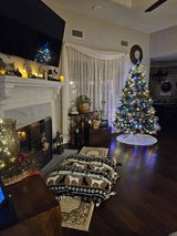 Barbara Edgington review photo