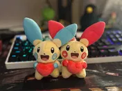 Customer photo