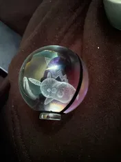 Customer photo
