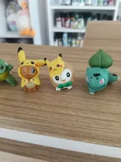 Customer photo