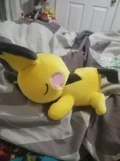 Customer photo