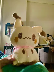 Customer photo