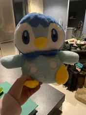 Customer photo