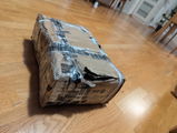 Sophia S. review photo