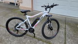 Leon Mann review photo