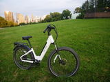Chris Taylor review photo