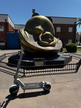 Charles M. review photo