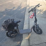 David V. review photo