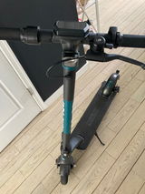 Rory review photo